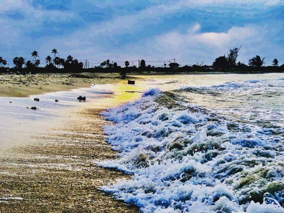 Sai Seashell Rest Inn Nilaveli Trincomalee Ngoại thất bức ảnh